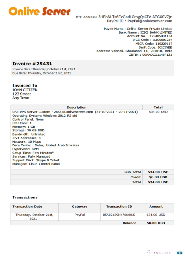 Download India Online Server company invoice Photoshop template